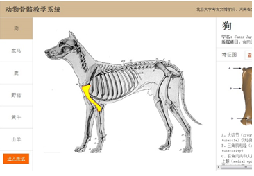 考古虚拟仿真实验教学中心